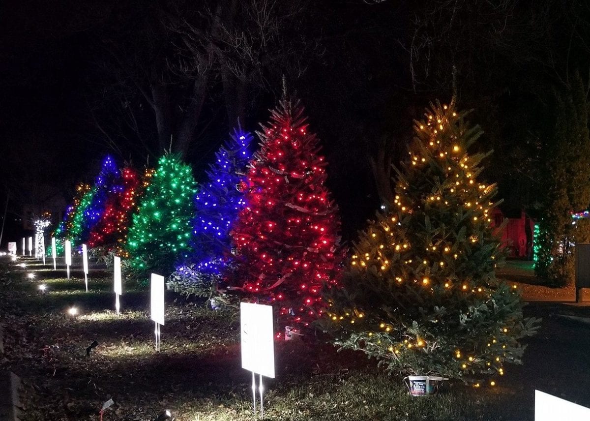 Rotary To Light Up Beaver Dam's Swan Park Friday Night | Daily Dodge